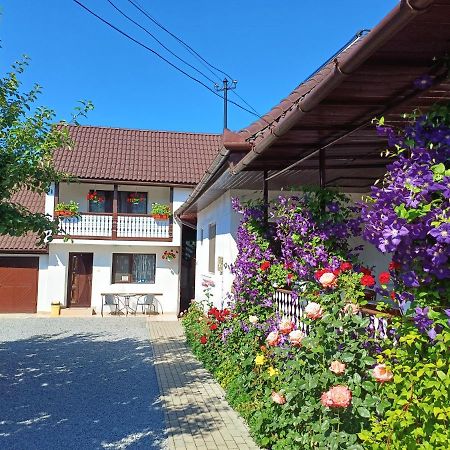 Casa Sallai Apartamento Sovata Exterior foto